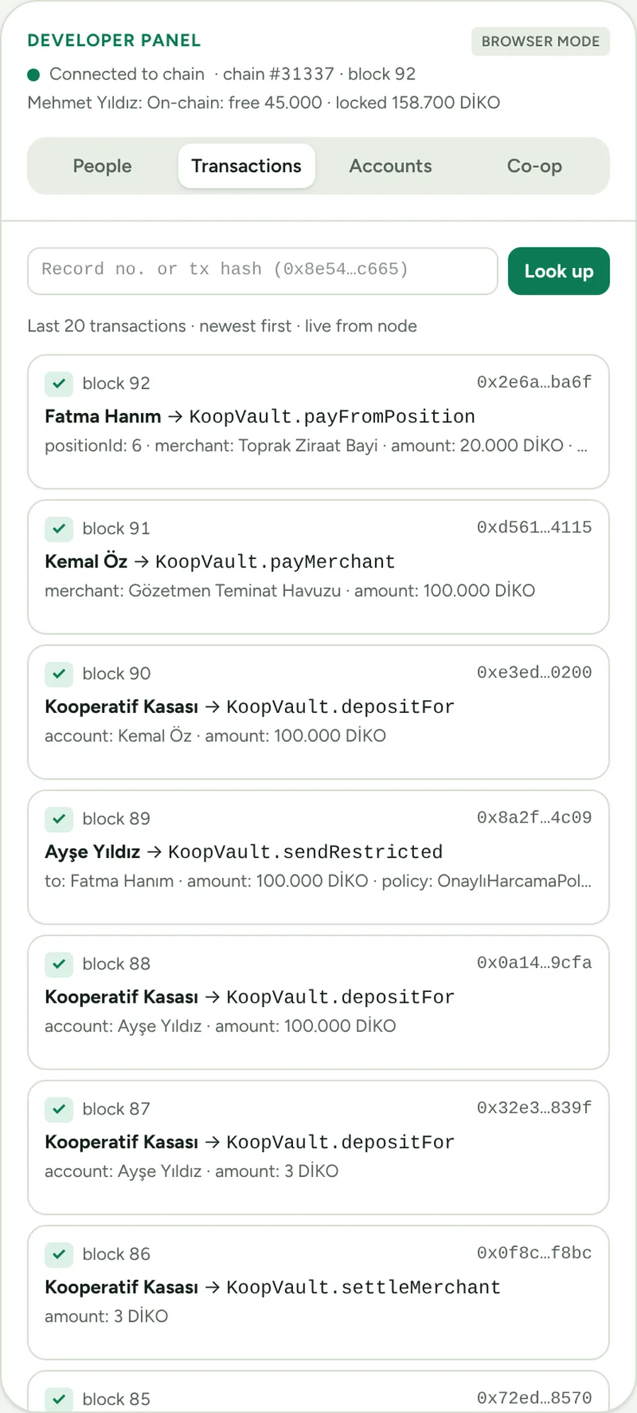 Developer panel decoding on-chain transactions